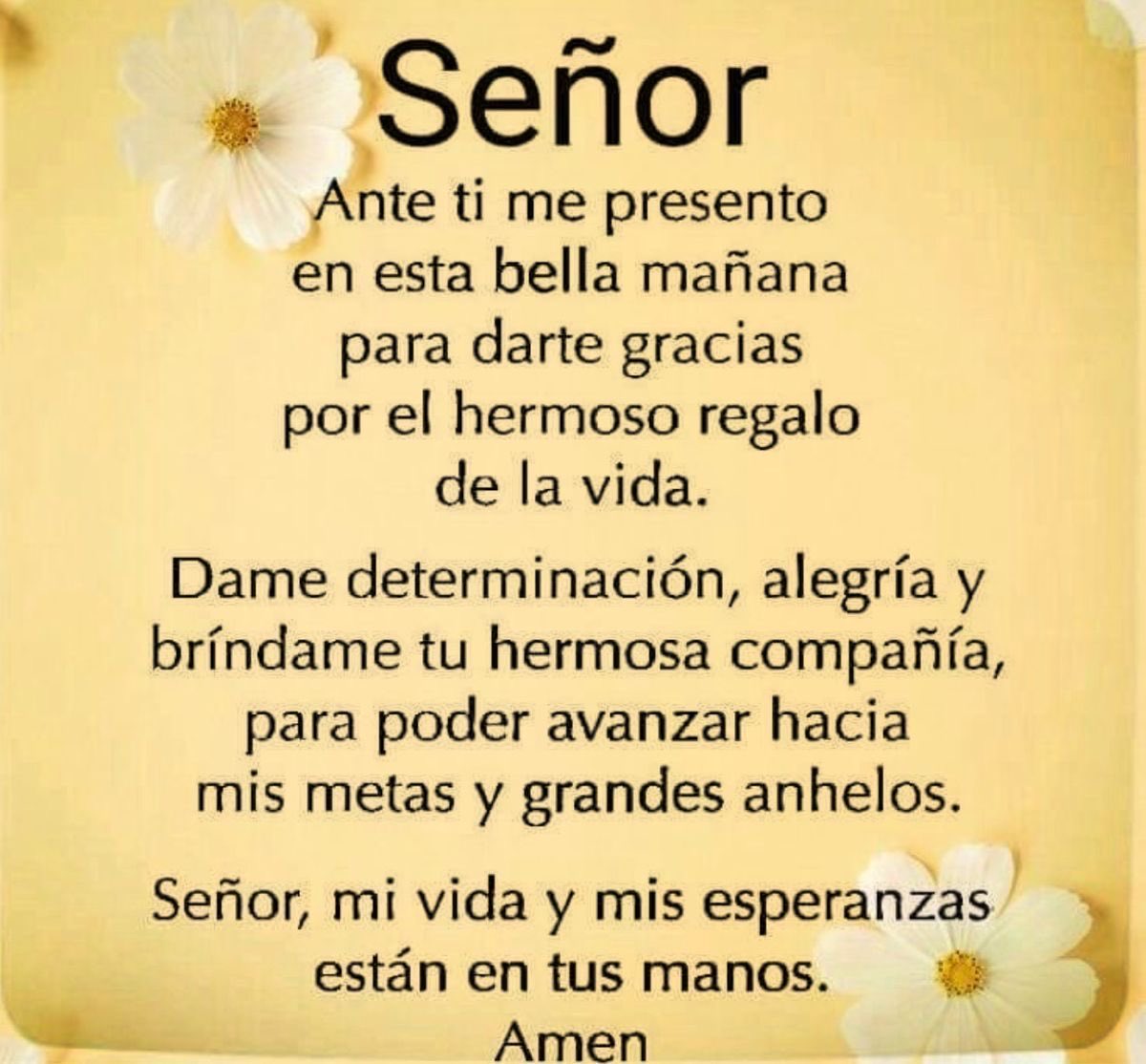 Oracionsincera's tweet photo. Mi confianza eres tú mi Dios!
No me abandones! https://t.co/v9nzYpMyur