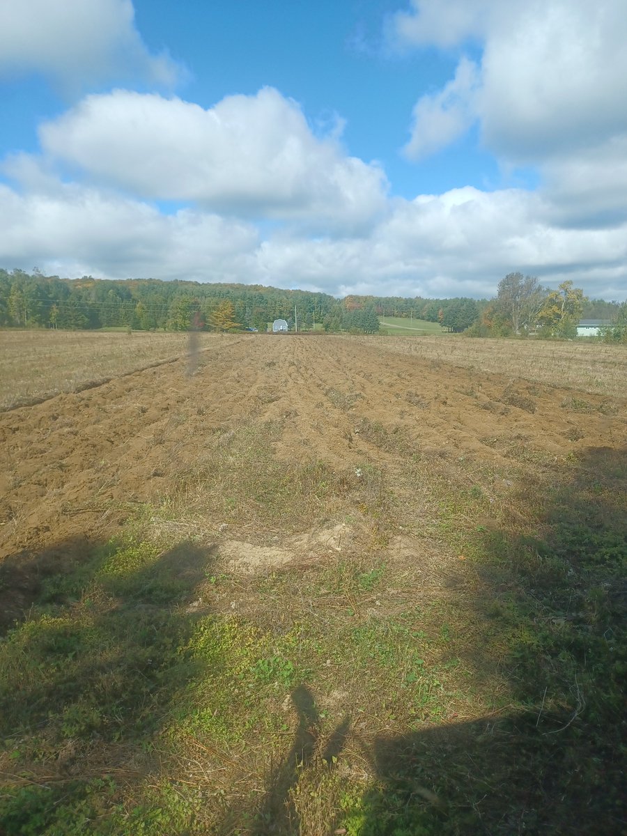svhs1985's tweet photo. I'm backing running the plough today on the Currie Road. This is an old sod field which has been out of production for a few years. @POTATOESNB #NBAG #cdnag https://t.co/Jb0rVES01K