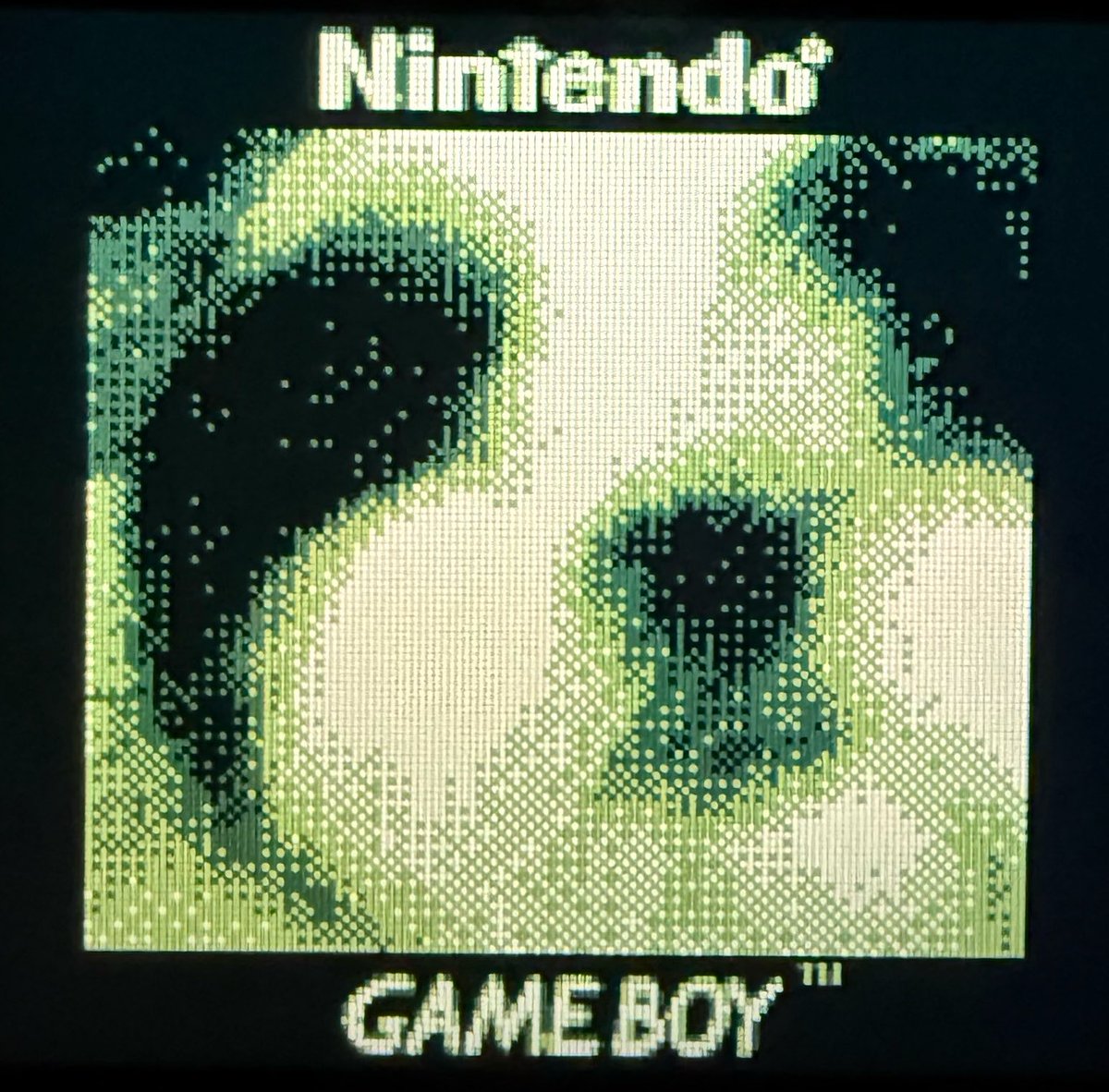 NES_Professor tweet picture