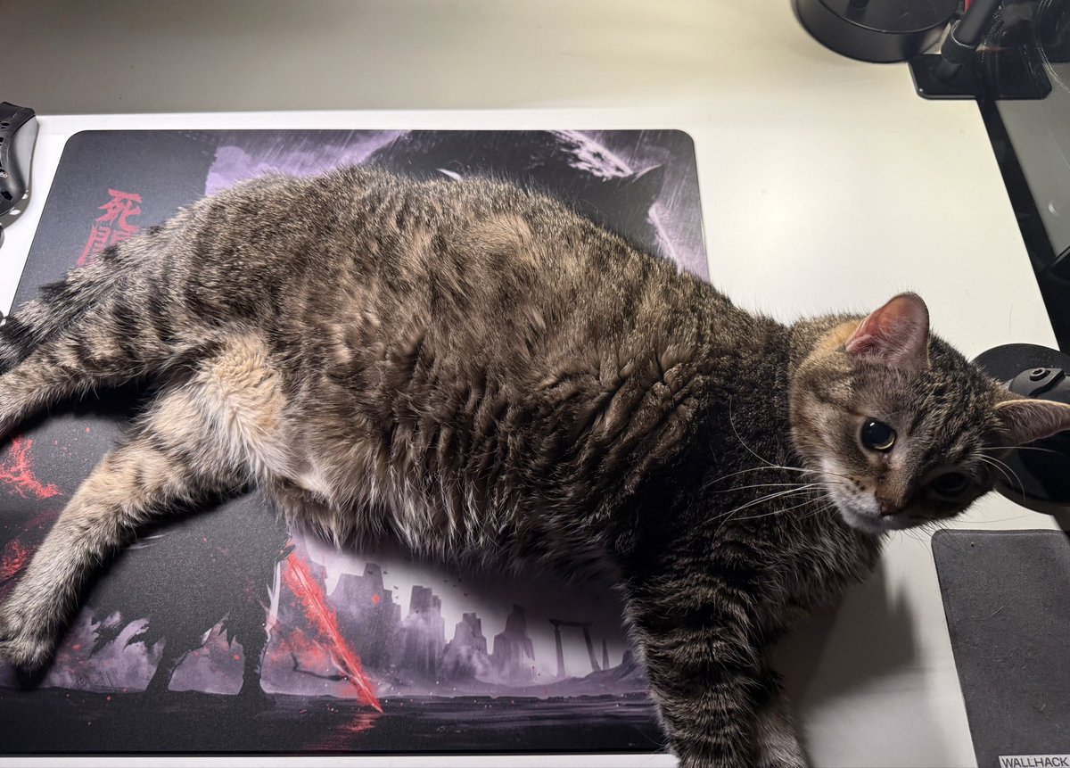 xblazrx's tweet photo. Dear Mr. Professor @tekkusai ,

Please make an XL version of Apex.

Ty https://t.co/FR9zVMtlYH
