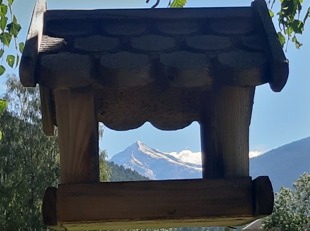 Smilla_Fox's tweet photo. Attendendo #Pontida
Vista sul Tresero #AltaValtellina
#Community #LASTFINDAY https://t.co/sKvK0nv6dY