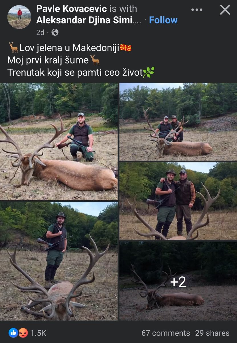 pepelkoklisarot's tweet photo. Има ли останато некој со малку разум у вукојебина, или се е летнато у курац па за добар кеш може кој што сака да прави? @MickoskiHM @VladaMK https://t.co/LpqpOeU72r