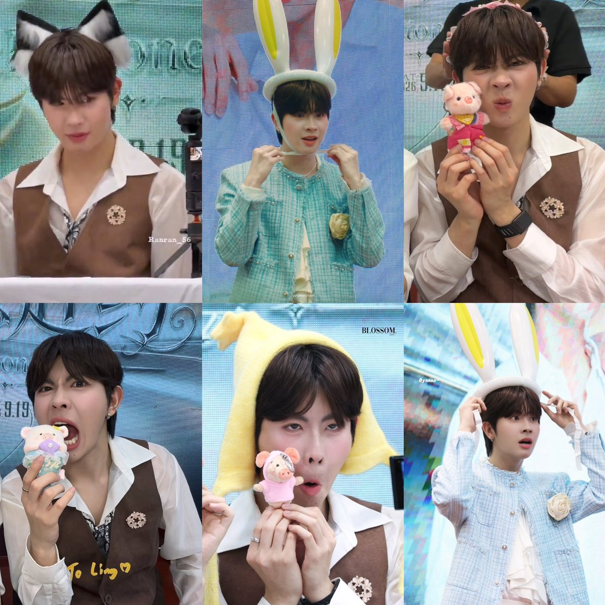 withlovebabies's tweet photo. ไม่เปนแมว ก็เปนหมู ไม่เปนหมูก็เปนกระต่าย ถ้ายังมีแม่จ๋าบนโลก จั้นไม่มีโอกาสได้เปนคน…. https://t.co/PNnBpaKuQV