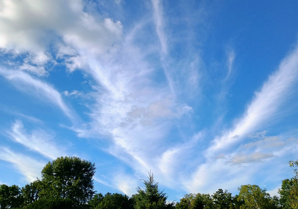 JNU411's tweet photo. Just a little weekend reminder: look for the blessings, trust God with the rest, and don’t forget to laugh along the way. 💙🙏

I may not be posting too much this weekend. I have a date with real life, chores, and apparently responsibilities. 😂
🫶✨
#SaturdayPrayers #Gratitude 
#SeptemberSky #PA