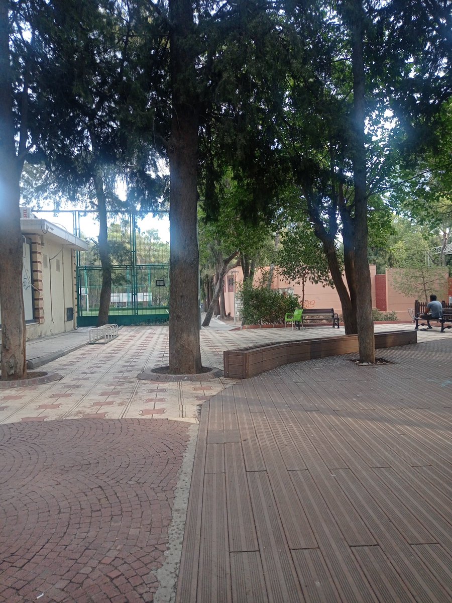 RobinHood958534's tweet photo. Bornova Büyük Parkta çamlar altında,huzuru bulmaya var mısınız? https://t.co/6lccKdBr4e