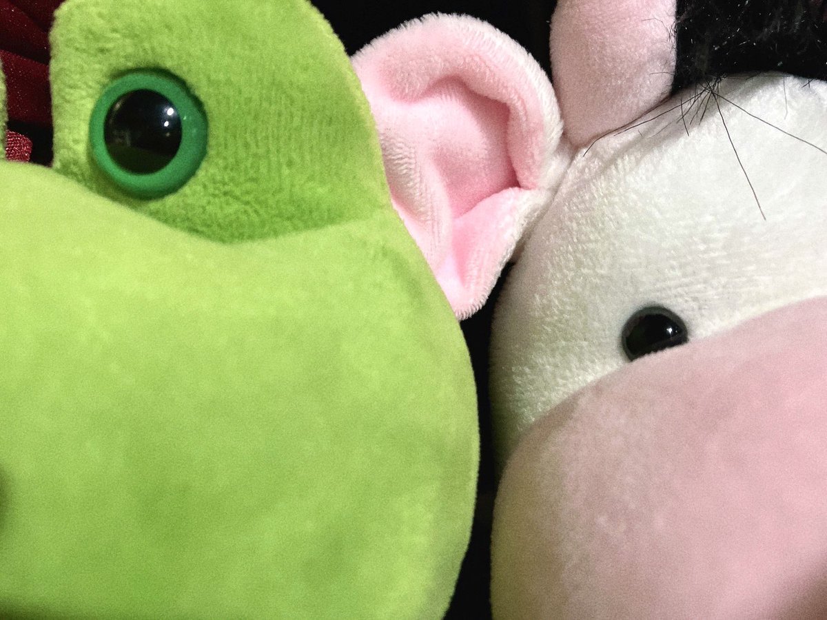 kerokeroproduce's tweet photo. #魔法のマジアワ
応援カードたくさんのご注文を
ありがとうございました！🐸🎉

皆様からの応援のお気持ち！
劇場に掲示させていただきます🥰

引き続きの応援をぜひよろしくお願いいたします！けろ！🐸

＊＊＊＊＊＊＊＊＊＊

けろけろプロデュース
『魔法はひとつじゃありません！ 〜マジックアワーを探して〜』

 9月30日(水)〜10月4日(日)
東長崎ルート・シアターにて！

【スケジュール】
9月30日(水) 15:30(A) 19:30(A) 
10月1日(木) 15:30(B) 19:30(B)
10月2日(金) 14:00(A) 19:00(B)
10月3日(土) 13:00(B) 18:00(A)
10月4日(日) 12:00(A) 16:00(B)

＼ご予約はHPから／

公式HPけろ！🐸🐮🎉🐰🎟️
🏠https://t.co/cPet1OHtfP 

【出演者】
AB班🐸
花崎那奈　@nana_hanasaki3
柊木みずほ　@hirg_mzh128
鈴村あすか　@suzumura_asuka
カエル　@maho_kaeru
うし

A班🐮
桜井理衣　@aliceriichan
栗原美咲　@misana0703
千葉和香　＠W3e6VTsOCJ39149
林田葵　@HayashidaMamoru
田上来　@rai_tagami
吉瀬はなこ　@87ko_dadada
矢口秀　@syu_martin68Y
栗林もゆな　@kurikuri_yan 
玉留汐　@tamadome_shio

B班🐰
青柳伽奈　@kana_aoyagi　
岩渕聖良　@iwabuchi1216
高梨未羽　@takana43u
小室雅哉　@masaya_1119
月川寛啓　@t_tomo0712
田所咲子　@sakua0108
西垣拓馬　@N0603Tkm
谷崎由季　
花岡菜緒　@Nao_Hanaoka_

【チケット】 全席自由席（当日券500円増）

◆ 最前特典席 7,000円
（最新限定特典付き｜最前席保証）

◆ 特典付き席 6,000円
（特典付き｜2列目以降自由席）

◆ 通常席 5,000円
（2列目以降自由席）

※最前列はミニパイプ椅子となります。
ビジュアルブロマイド 各キャストにつき
＊最前席特典 1種類
＊特典席特典 1種類　をご用意しております！

★差し入れサービス
稽古・本番期間にお客様に代わって差し入れをお届けすることができるサービスです💐

ご注文はこちら🐸🎁✨
https://t.co/2qtSGL6q1A

 #魔法のマジアワ お楽しみに！けろ！

【カエルからのひとけろ】
たくさんのおうえんのきもち、つたわってるけろよ〜！