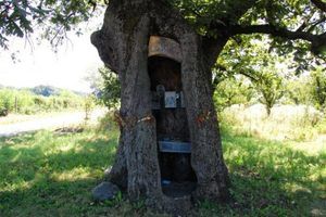 CuriosityArch tweet picture