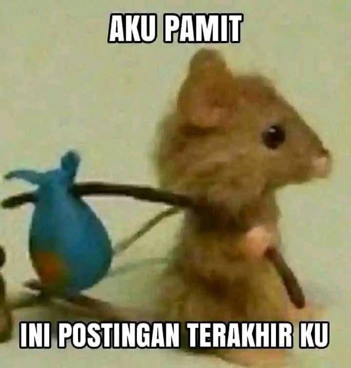 FTRMorow's tweet photo. @KPRYoru https://t.co/fTT1MWmvew