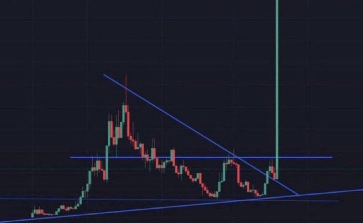 DrWhaleReal's tweet photo. what’s the next meme to go absolutely parabolic?

just 100x https://t.co/LZ6vkvXzfd
