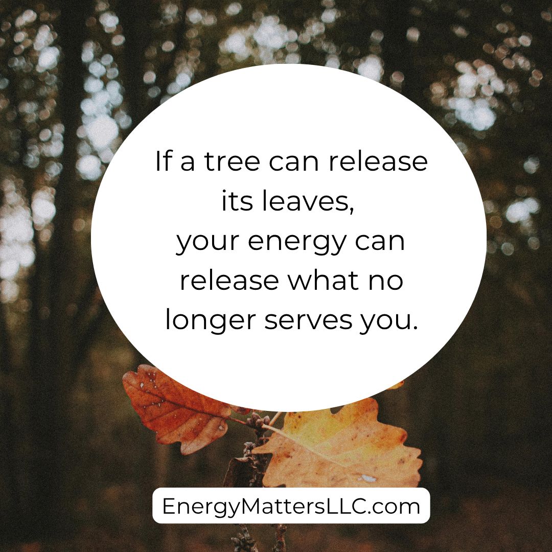 EnergyMRose's tweet photo. If a tree can release its leaves, your energy can release what no longer serves you.  Wisit my website to learn about energetic clearing, or schedule a remote reiki session. https://t.co/YeIZVQScLZ 

#EnergyMattersLLC #ReikiMasterTeacher #GoodQuotes #LettingGo #AutumnMantra https://t.co/gsh6W3UVbW
