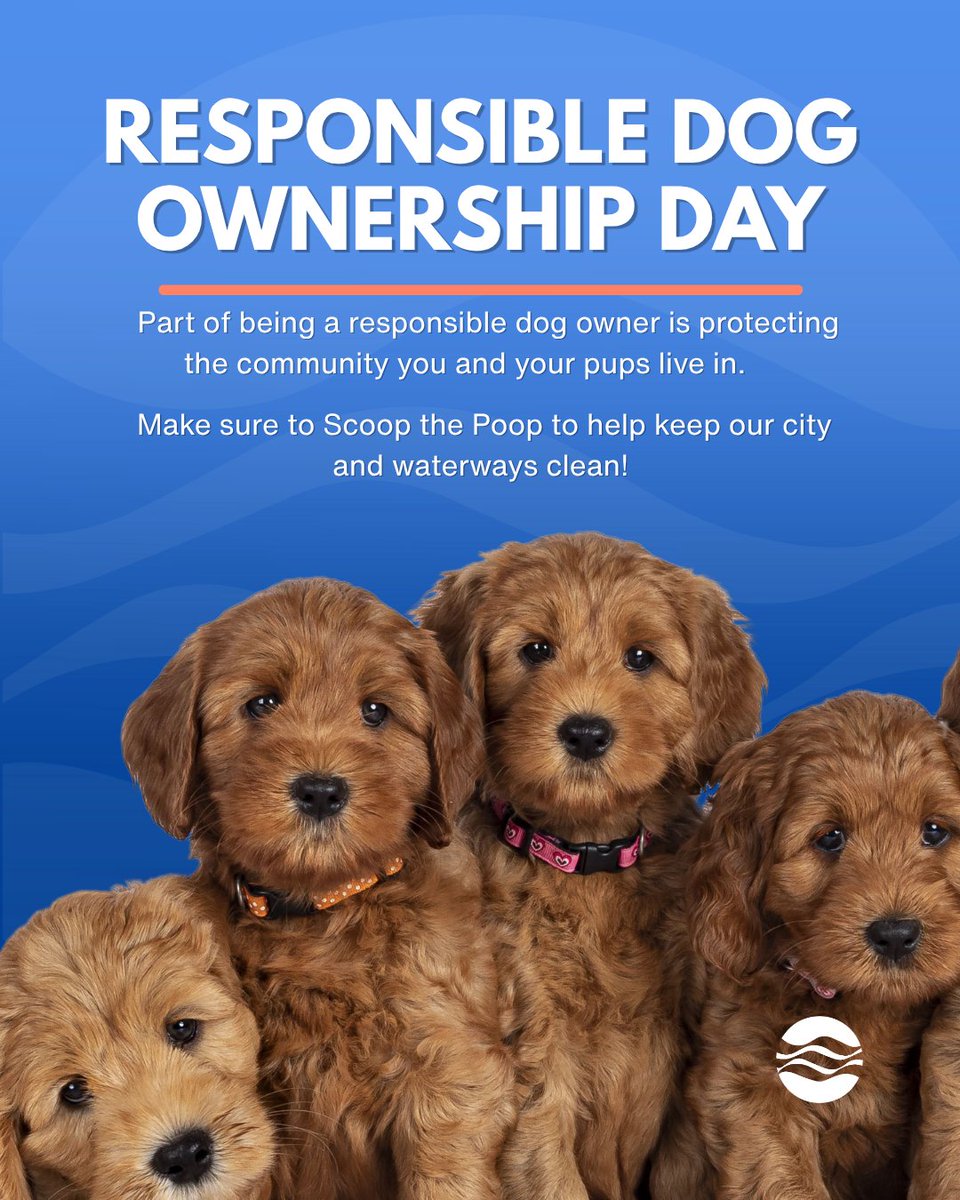 BOSTON_WATER's tweet photo. Today is #ResponsibleDogOwnershipDay. When taking your furry friends out to local dog parks or even just for a walk around the block, make sure to #ScoopThePoop. Pet waste left behind will end up down the storm drain which leads to local waterways. https://t.co/yrCzKrRvuP