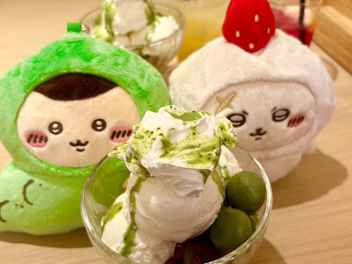 Poiqaff7's tweet photo. 早速、ラッコ先生に甘味を味わってもらう https://t.co/DFseeYzq9n