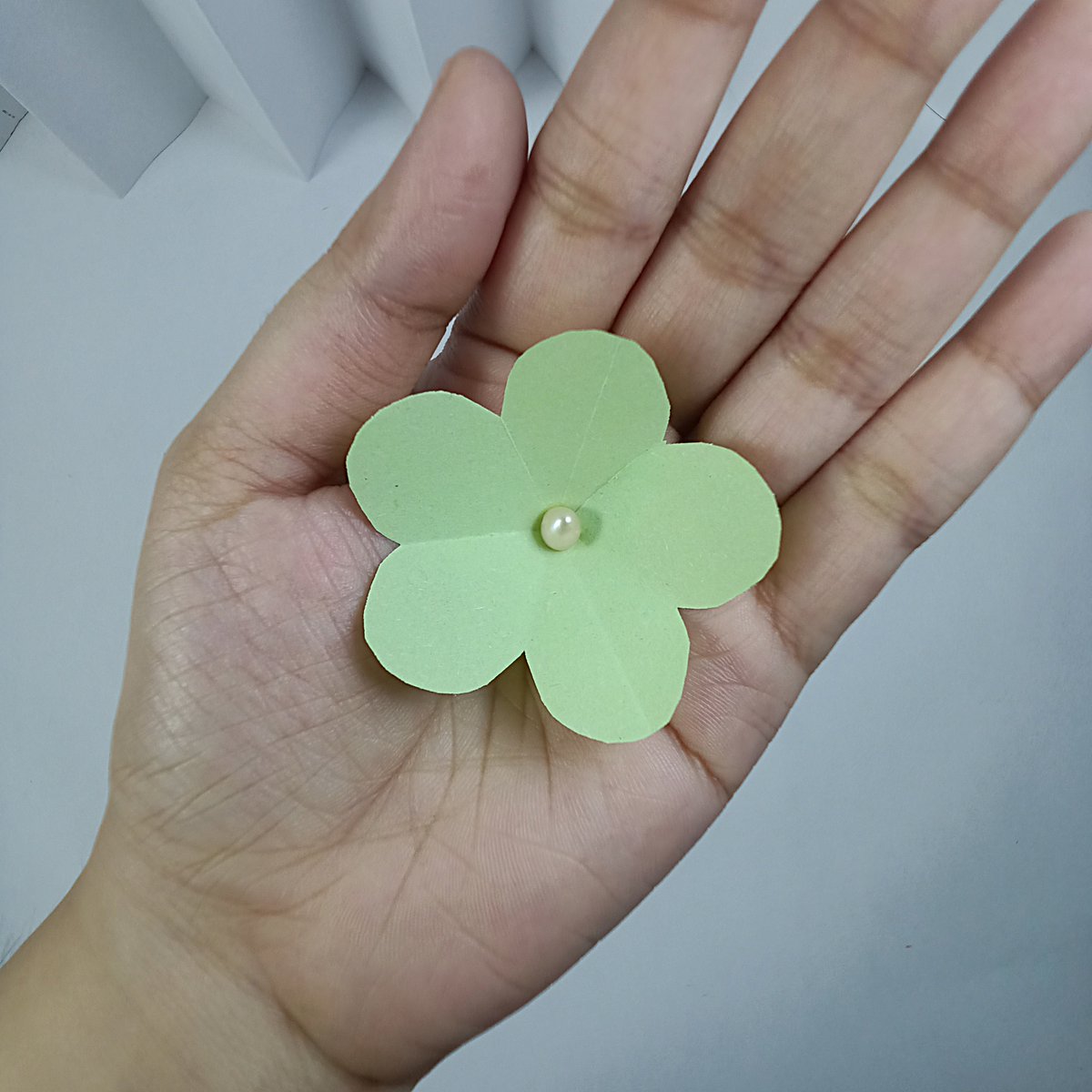 scrapcarved's tweet photo. A Beautiful Green Flower Made from Paper 🌿✨ https://t.co/Rzd3nXSNNj