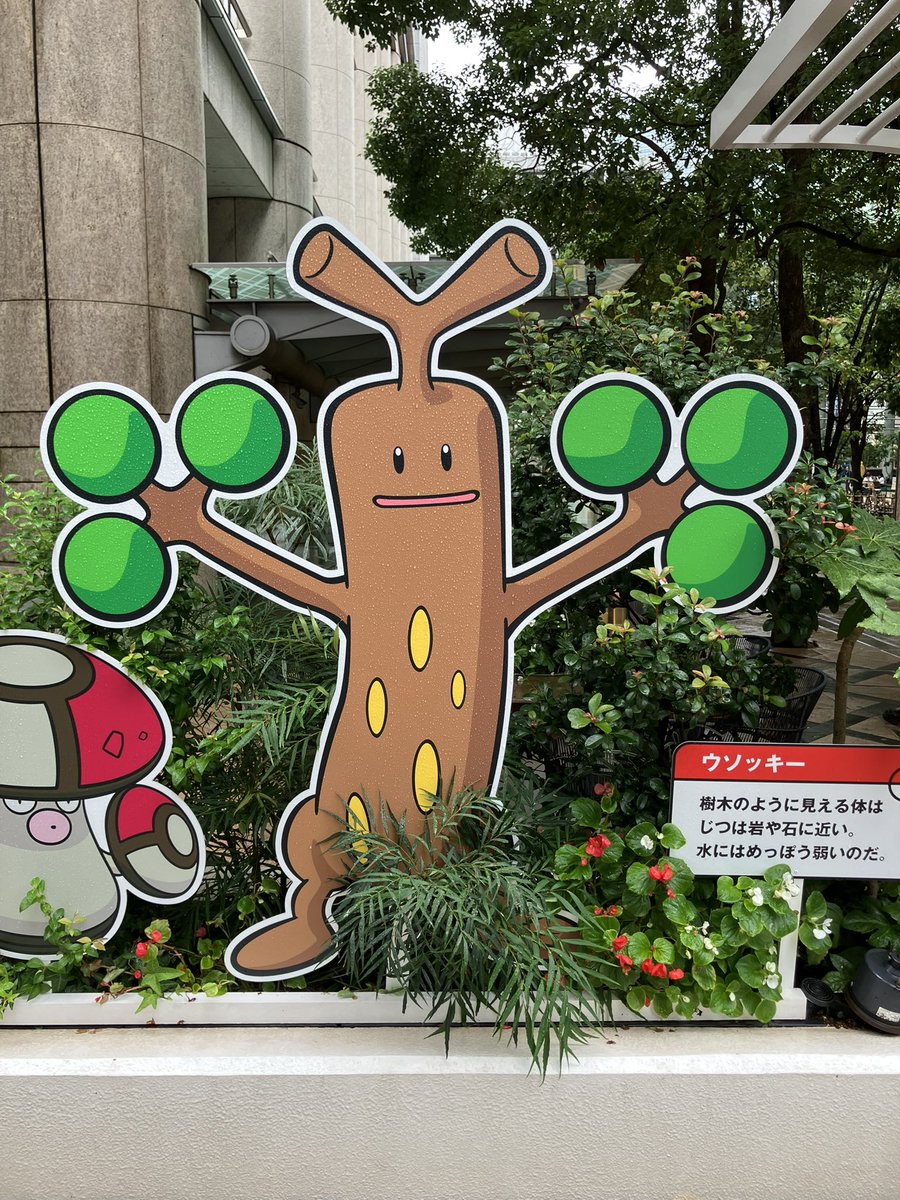 urutoradoM's tweet photo. やっぱ岩タイプには見えんわ笑 https://t.co/akDn8BMIOz