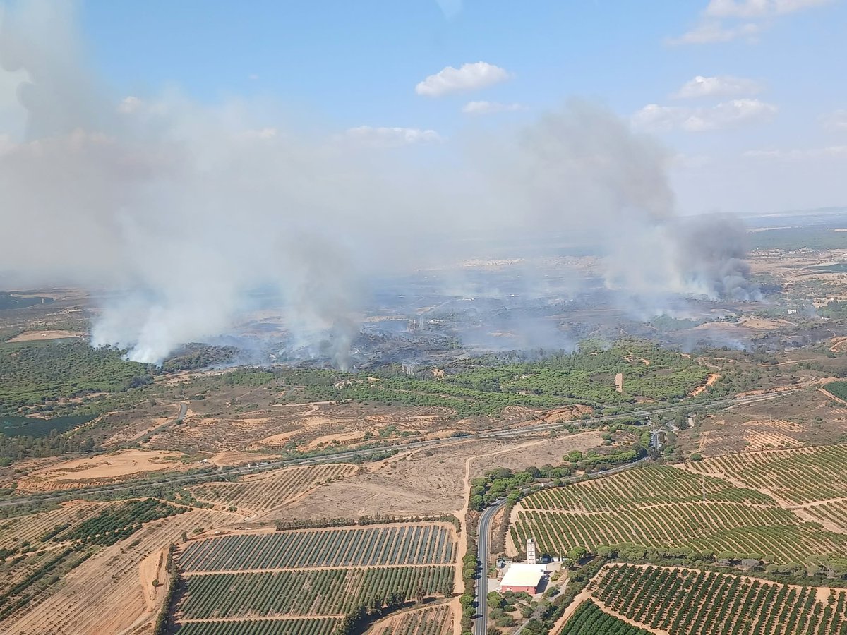 Plan_INFOCA's tweet photo. 🔴 #IFAyamonte (Huelva), paraje Pedraza.
ACTUALIZAMOS:
🧑🚒130 efectivos por tierra
🚒3 autobombas
🛩️4 de carga en tierra, 2 anfibios ligeros, 1 ACO
🚁1 ligero, 4 semipesados, 2 pesados, 1 de mando
🚜2 buldóceres
Colabora @CONSORCIOBOMBER
🌬️Viento sur con rachas de 35-45 km/h https://t.co/bdHL6fNdn8