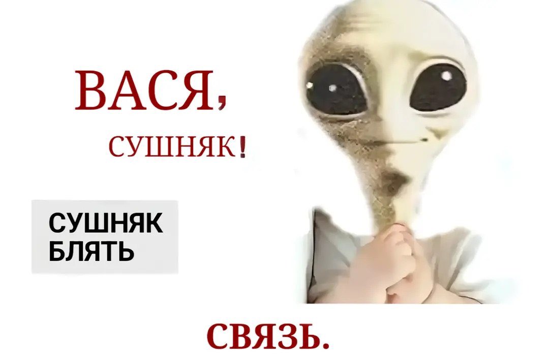 helpmep13ase's tweet photo. теперь тут будет щитпост потому что телеграм каналы дерьмо для леймов https://t.co/aHyBkA6u43