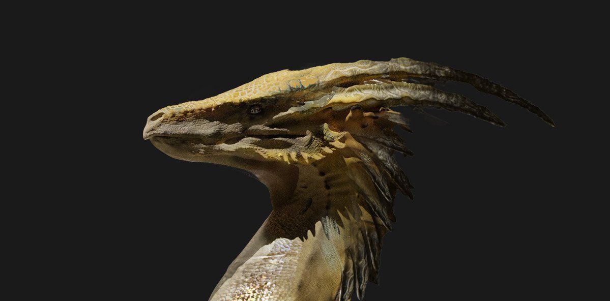 acervodragoes's tweet photo. Artes conceituais da dragão Syrax, por Kirill Barybin. https://t.co/SYBgyv0CPr