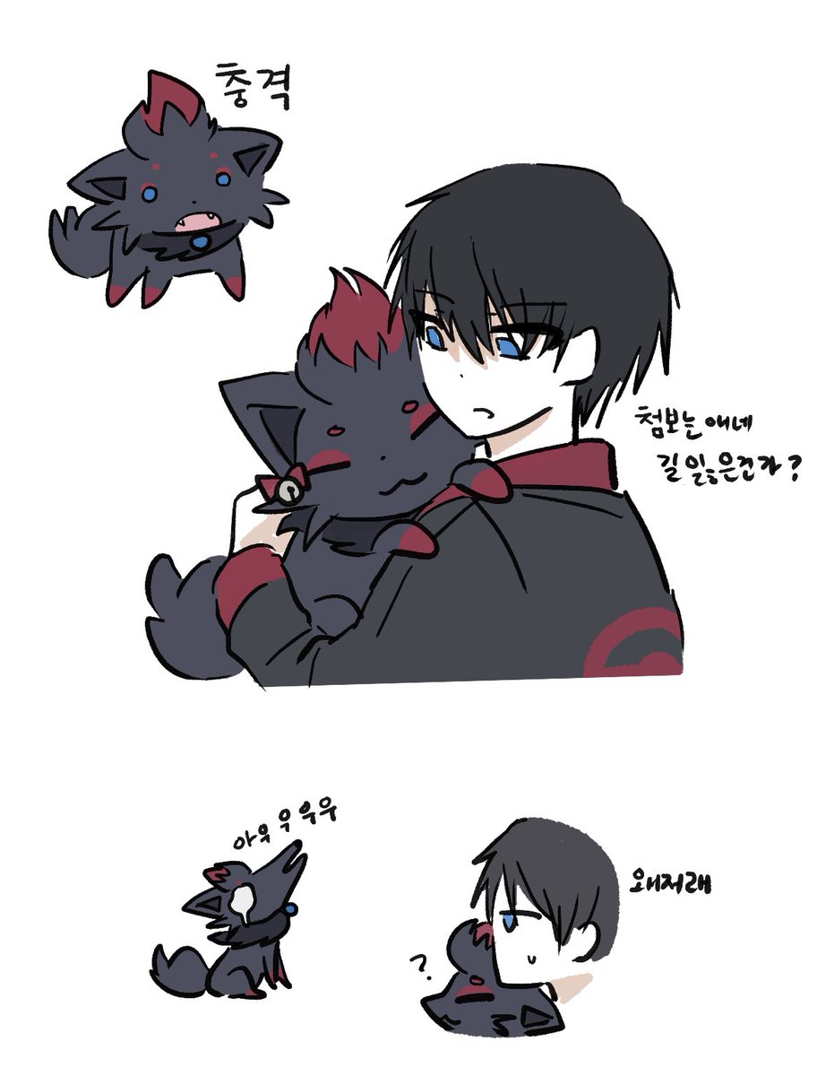 pkm_JMT's tweet photo. 1시간 산책시키고 1시간 터그놀이해주면 풀림 https://t.co/M6yEezJXAS