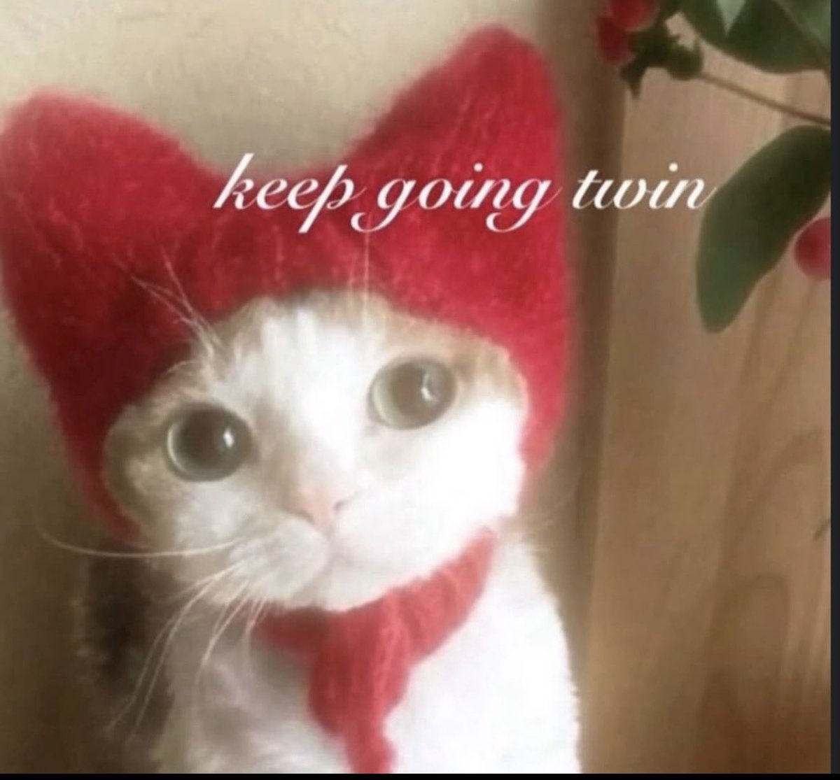 fruitpibble's tweet photo. keep going twin #yougotThis https://t.co/2uuyrQU5DH