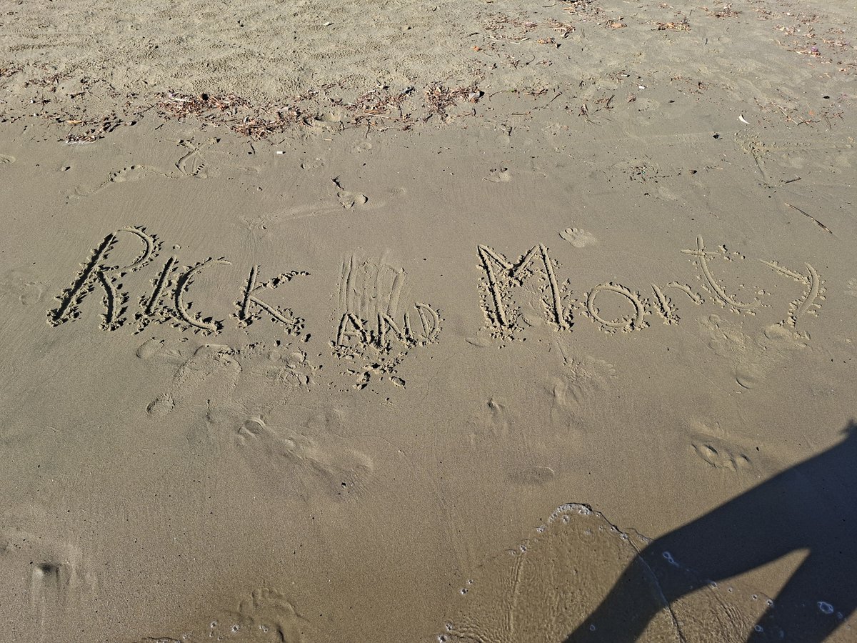 sealmorty's tweet photo. sealmorty beach episode https://t.co/JYGd8iWN7P