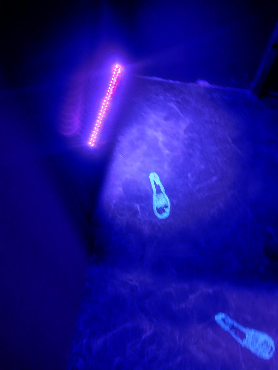 briae052283's tweet photo. Just escaped the most mind-blowing escape room in town—puzzles that will twist your brain u0026 a super immersive storyline!  #密室逃脱 #GameNight， https://t.co/fYvlBd9e4U