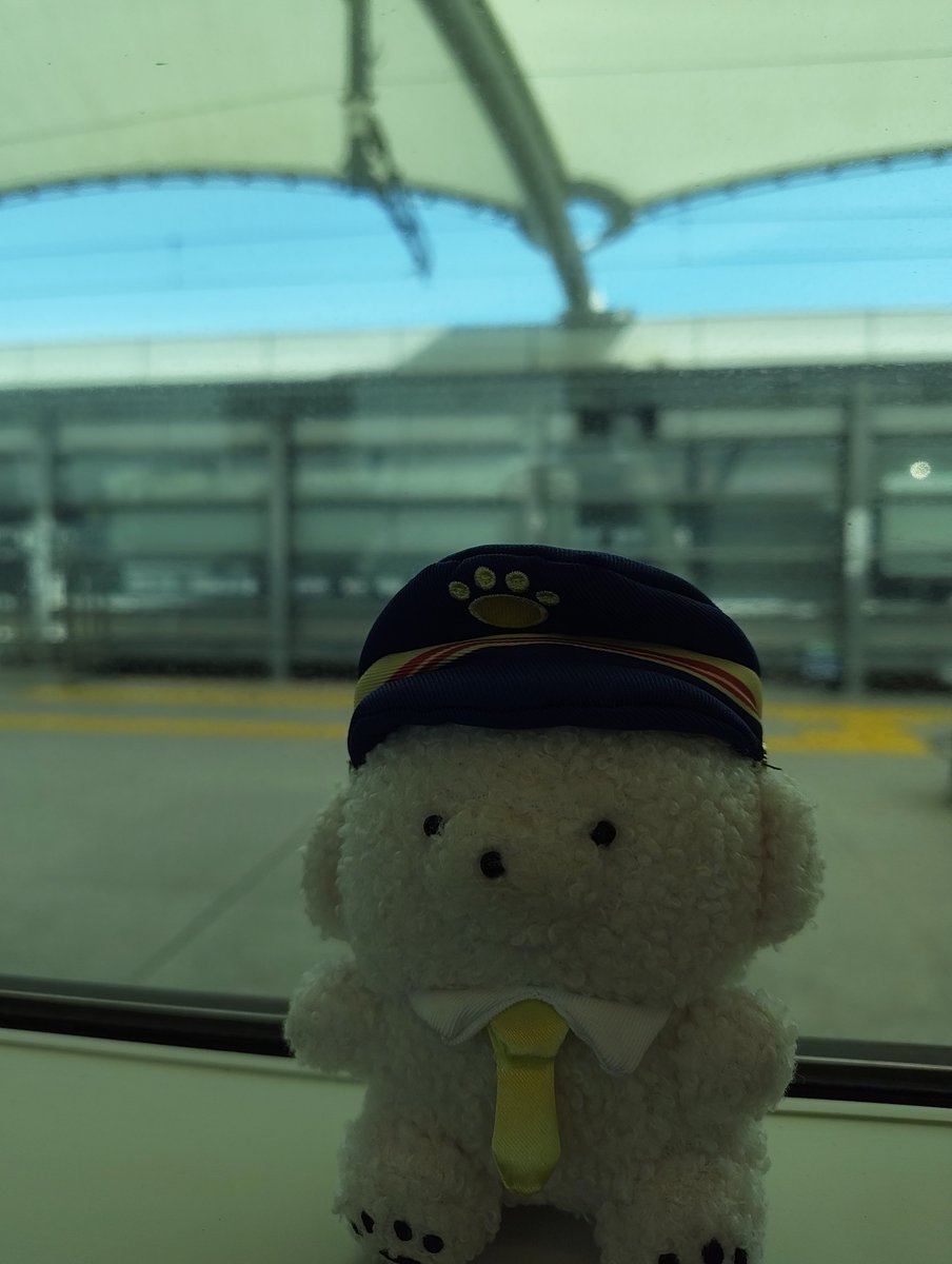 citron_maru's tweet photo. また  せんだぃ  ぃきたぃね https://t.co/yEa3Q47CAp