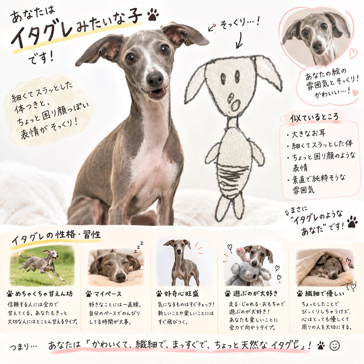 Cos_BeginnerYT's tweet photo. こんにちは、イタグレです。 https://t.co/Cp0M8IxrDY