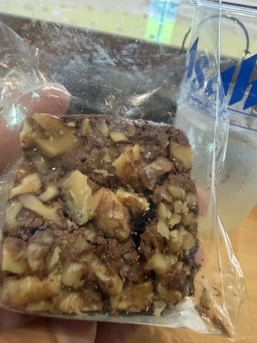 piramochan's tweet photo. サメバガとくるみチョコブラウニーがまじ美味しかった。入場口付近のおしゃ植もめちゃ良よよ🫶 https://t.co/4p0ZjHpBtU