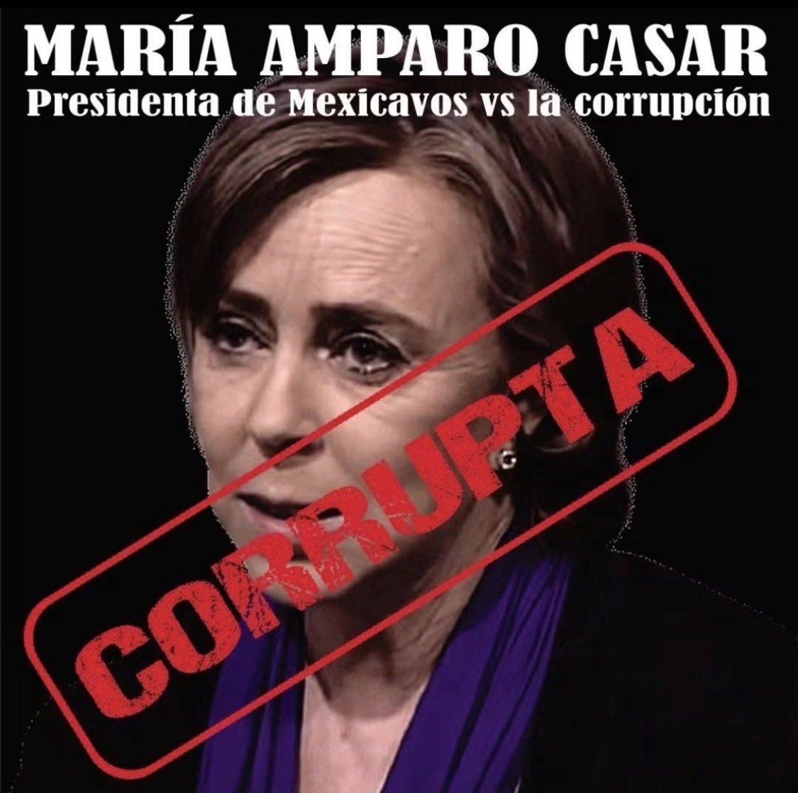 AliciaJ86958882's tweet photo. Resultó corrupta la CORRUPTA @amparocasar https://t.co/u3KRsGXg2h