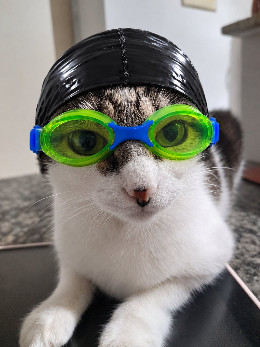amliderflan's tweet photo. ela �� amor, carinho e um pedacinho do meu coração. minha berê. https://t.co/IgBZvt7bm6