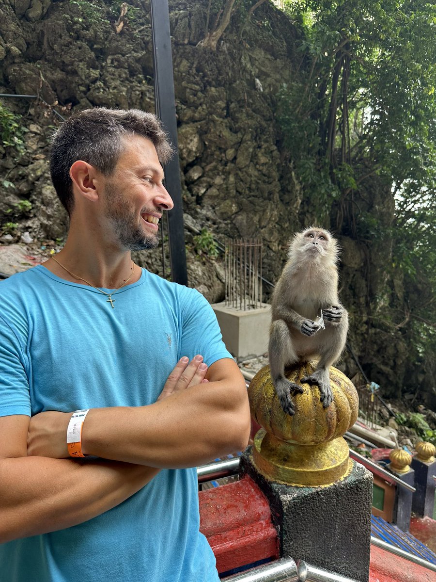 GianluRonco's tweet photo. Monkey life https://t.co/77YxzVSPsG
