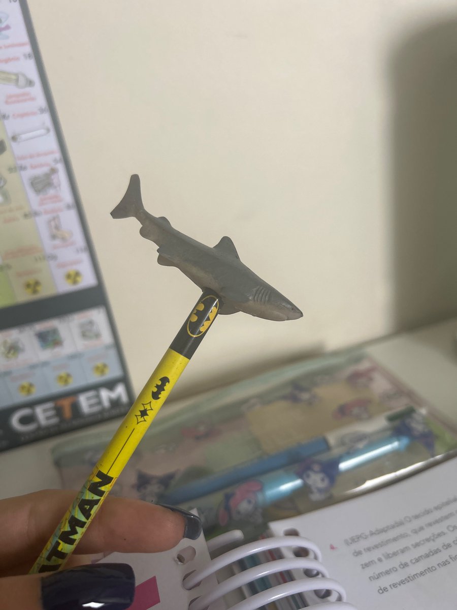 fadedmatsujun's tweet photo. estudando com meu lapis do batman e meu tubarão e vcs nada https://t.co/P1gLDWHJ5A