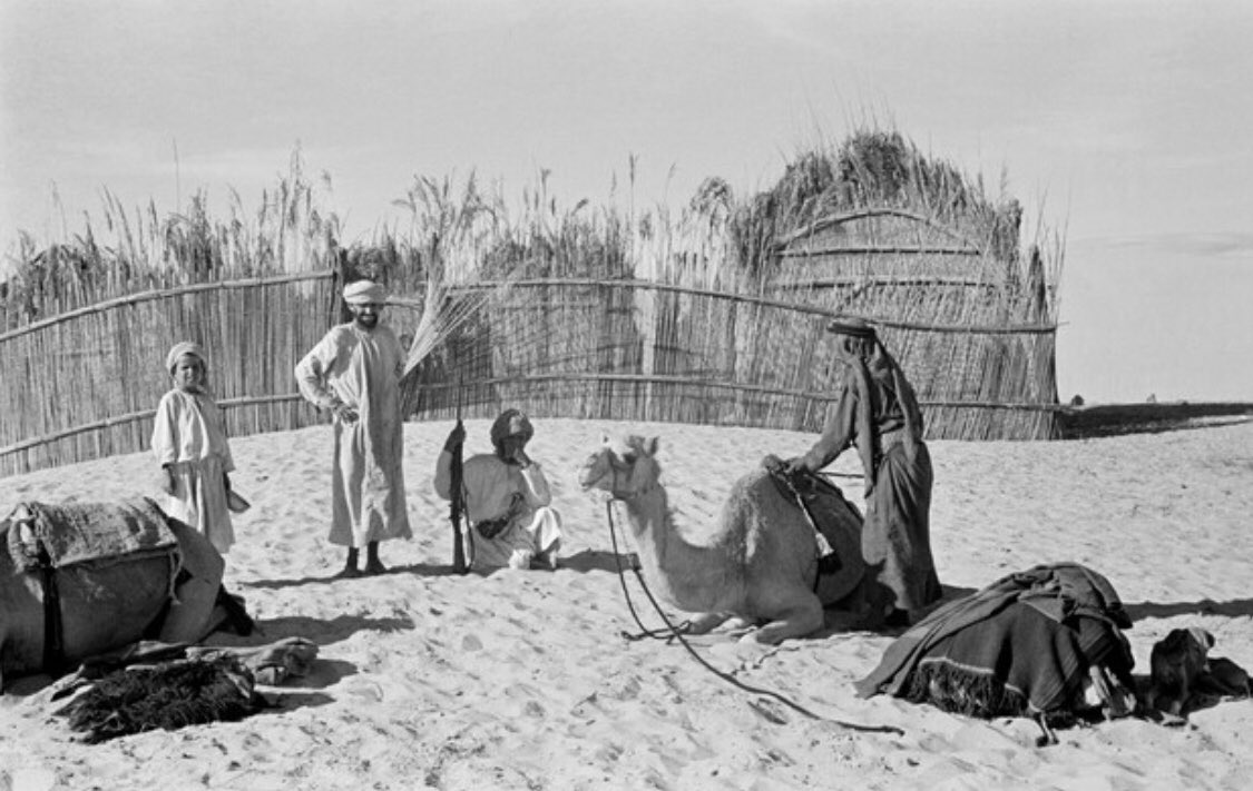EmiratiEssence's tweet photo. A group of Emiratis with their camels in Liwa and the Al Khatim sands, 1948 🇦🇪 https://t.co/xOqrSe6xgg