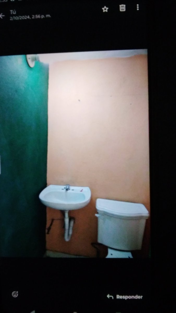 SegundoOnesimo tweet picture