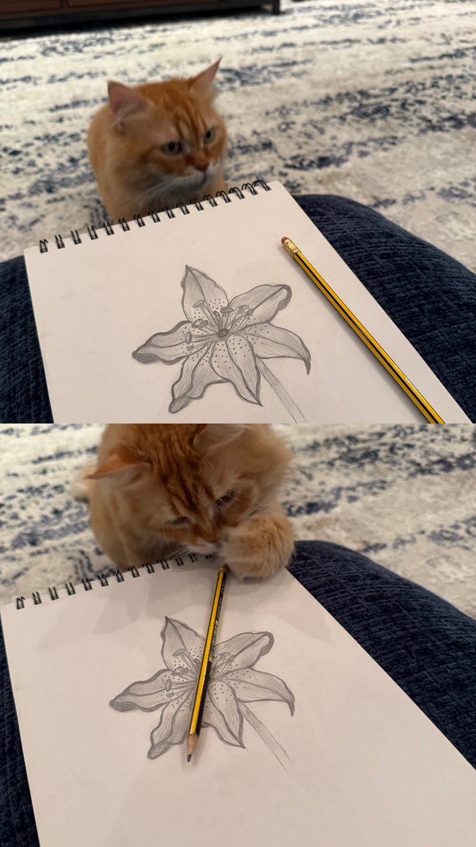 RrHt170's tweet photo. يساعدني بالرسم بطريقته الخاصه .. https://t.co/SJAxKwCiLJ