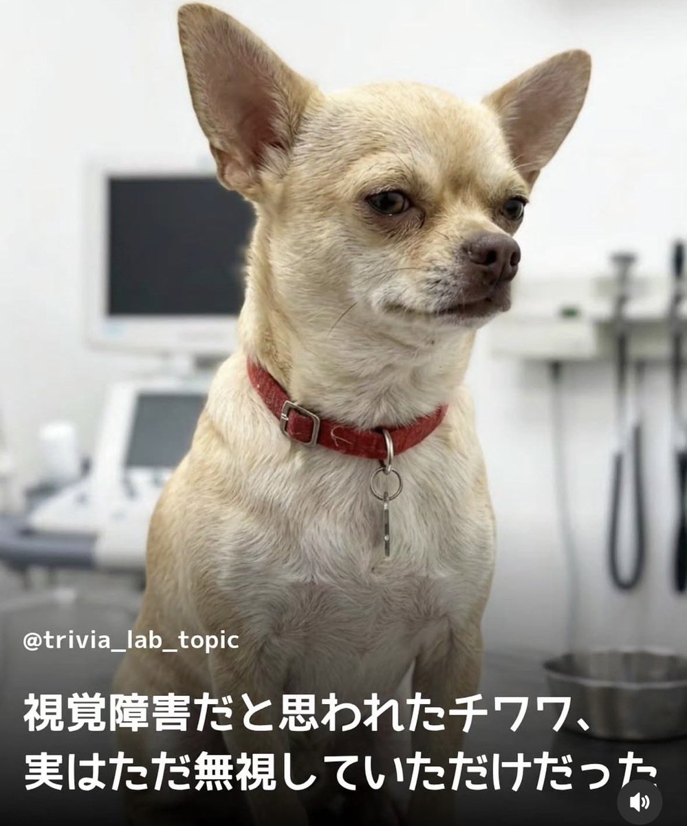 munevveralks's tweet photo. これは飼い主さん可哀想……wwww https://t.co/Lg7rYzz95k