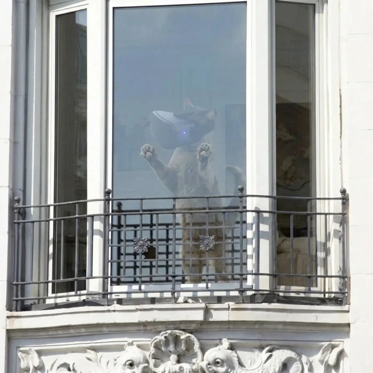 VRCat_META's tweet photo. When the VR session gets so intense you end up at the window https://t.co/eplGk29ZP9