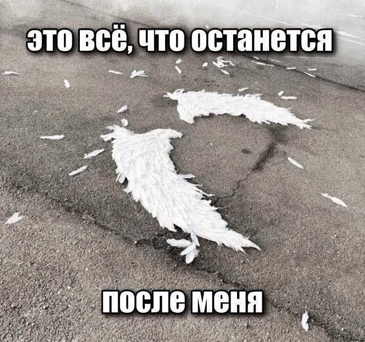 amenotsukki's tweet photo. говорят, что секс продлевает жизнь… 
решила заранее с вами попрощаться, ведь я могу умереть в любой момент. 
вам не понять такого чистого ангела как я… https://t.co/qKR6HLfuR8