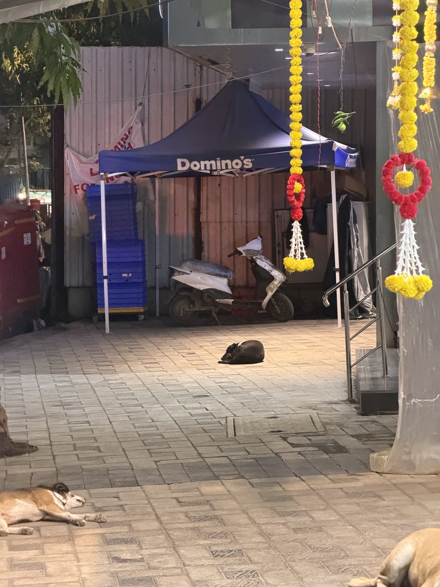 SayedZaeemRizvi's tweet photo. Urgent: At Building Sheetal Usha &amp; Nisha CHSL, Malad West, the society has instructed shops not to keep tables/chairs outside. Yet the Domino’s tent/container remains. Shop owners collect rent but appear neutral on enforcement. Why the different treatment? @mybmc #MaladWest #BMC https://t.co/Zxz40KKPL0