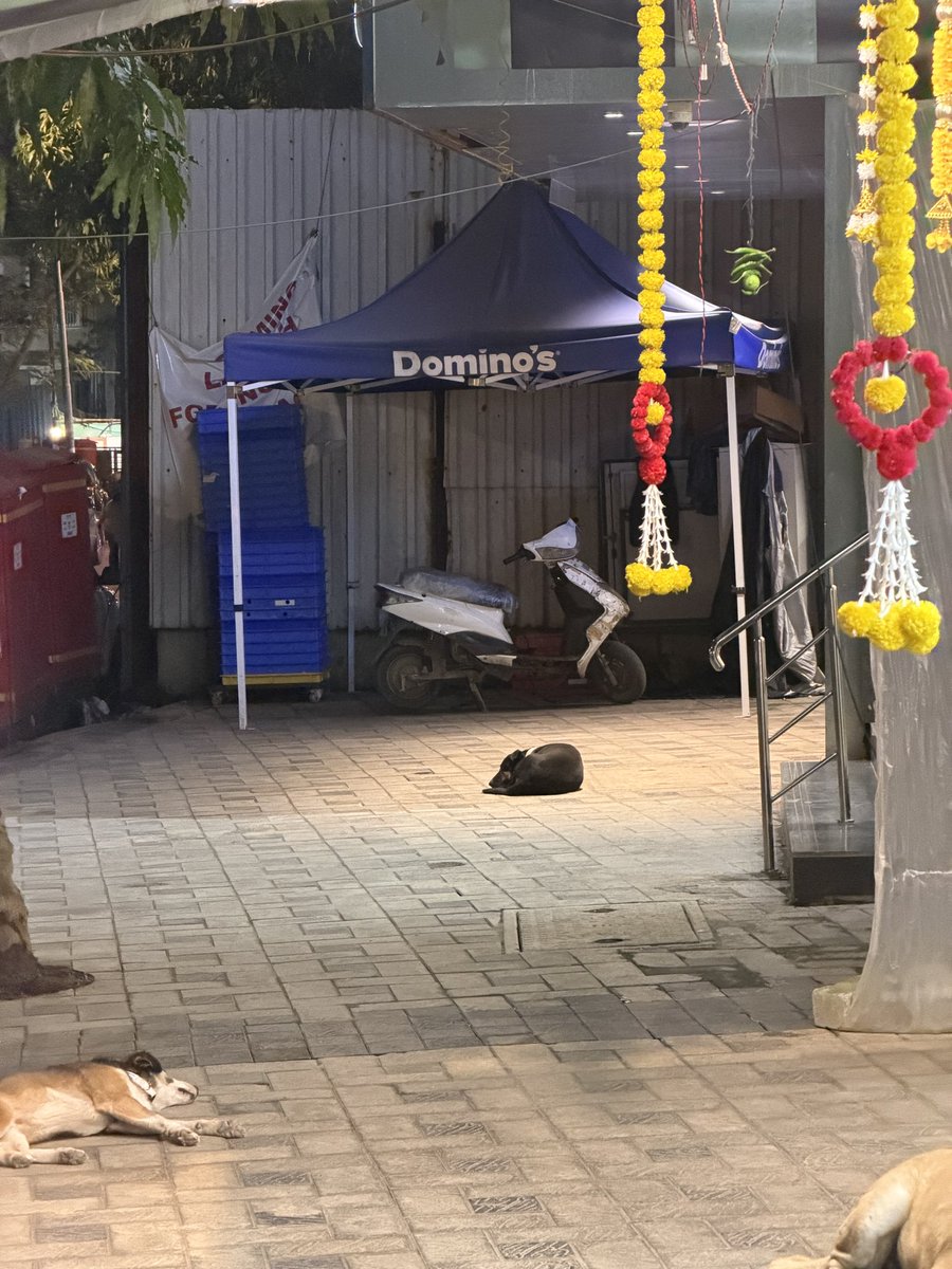 SayedZaeemRizvi's tweet photo. Urgent: At Building Sheetal Usha &amp; Nisha CHSL, Malad West, the society has instructed shops not to keep tables/chairs outside. Yet the Domino’s tent/container remains. Shop owners collect rent but appear neutral on enforcement. Why the different treatment? @mybmc #MaladWest #BMC https://t.co/Zxz40KKPL0