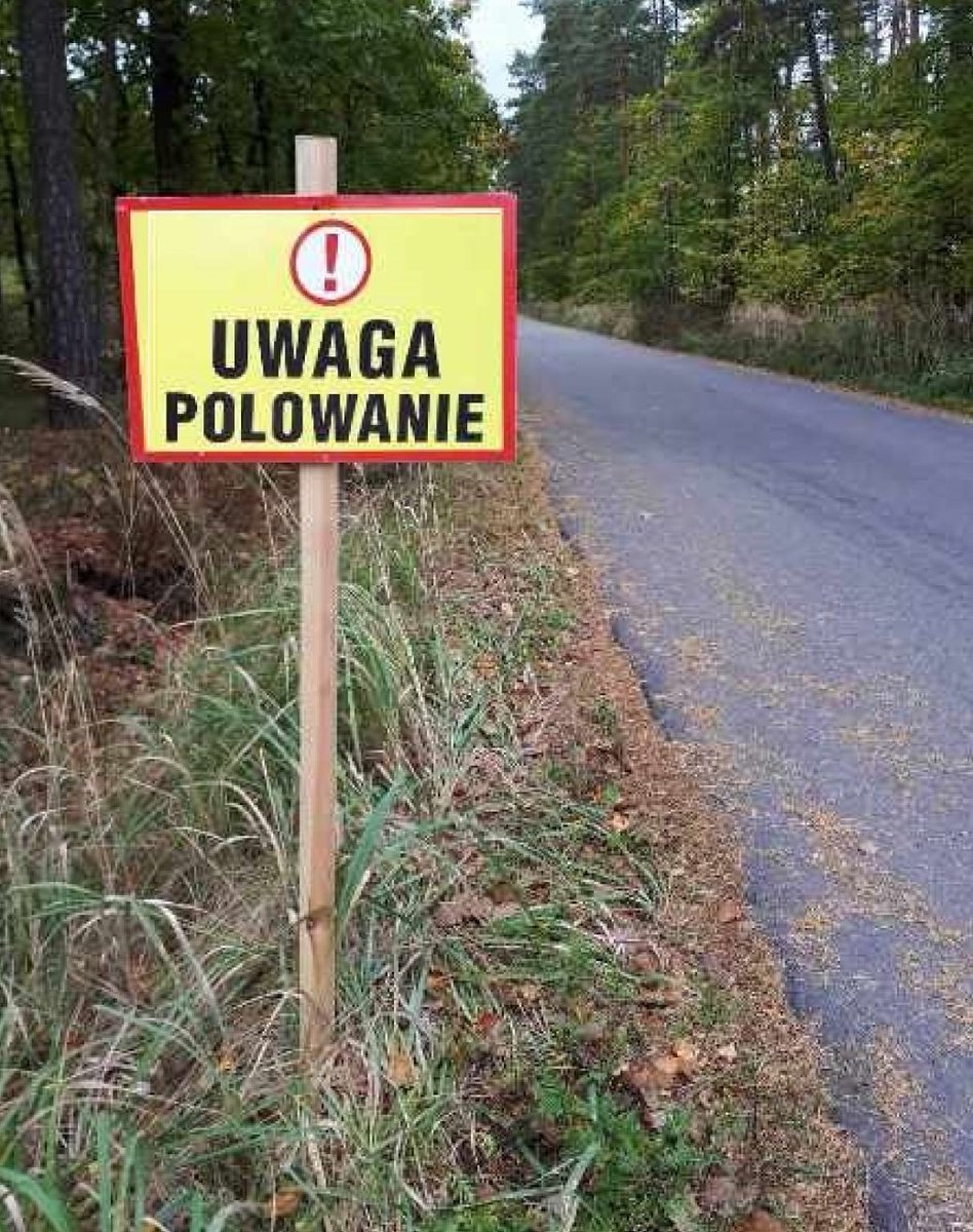 LeskiPiotr's tweet photo. Szczerze mówiąc nie wiem, dlaczdgo my się na to godzimy. Lasy Państwowe są  dostępne dla wszystkich. Poza nadleśniczym nikt nie może zakazać wstępu. Ale jest pewna grupa, która de facto może to zrobić. To myśliwi. Wystarczy, że zechcą sobie postrzelać ustawiają "uwaga polowanie" i stają się panami lasu. Wstęp do lasu nadal jest dozwolony, choć z oczywistych powodów lepiej w tym czasie nie wchodzić. Zwłaszcza gdy wiemy, jak wyglądają ich umiejętności odróżniania dzika od ludzi.
To jest właśnie cicha prywatyzacja lasu.
Tymczasem, gdy obywatele wychodzą na spacer, grzybobranie czy obserwację ptaków, nie ograniczają prawa do korzystania z lasu innym. Nie stawrzają nikomu żadnego zagrożenia.
W starciu z myśliwymi jesteśmy obywatelami drugiej kategorii🤷🤦