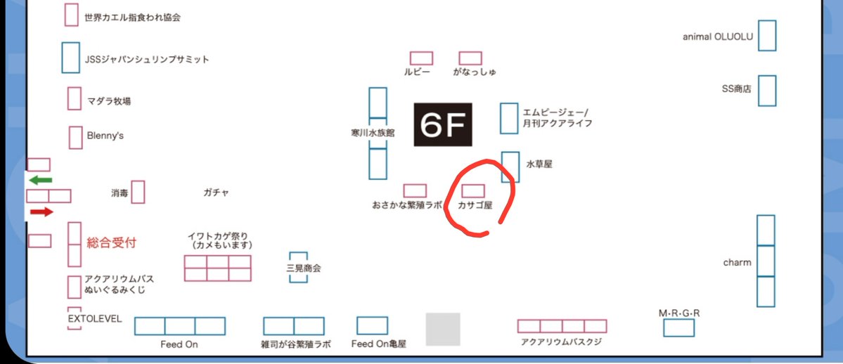 kasago64's tweet photo. 今回のアクアリムバスは前回同様階によって終わる時間が��わるので買い忘れ無いようにお気をつけてください‼️
カサゴ屋は6階中央です
お待ちしております🐠

#アクアリムバス
#カサゴ屋
#マリンアクア
#サンゴ
#海藻 https://t.co/UgTwtBE1mY