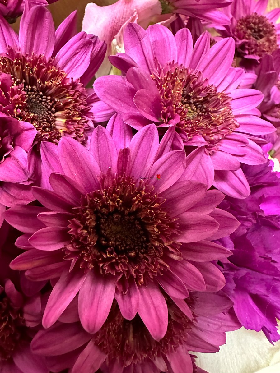 Aimee22026's tweet photo. Thank you very much. Happy weekend 🙏🌸🌞 https://t.co/Y7ci2mB94C