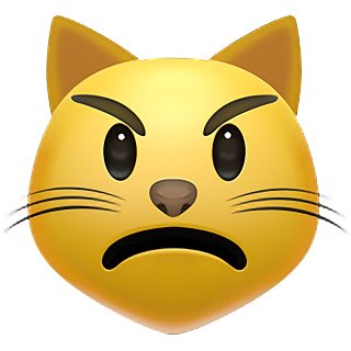 qpnouu's tweet photo. لترلي هذا هو https://t.co/bcwNNwzOmG