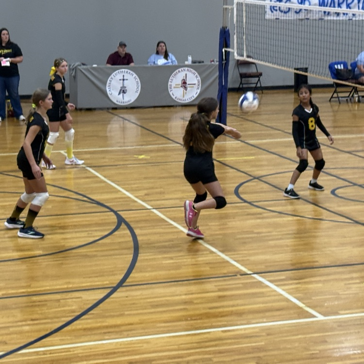 SPLSPanthers's tweet photo. The 5/6 volleyball team had some great games this morning at Calvary Lutheran!  They brought home a win in 2 sets!  Great job, Ladies!!!  We are proud of you!!  #volleyball #KCLAL https://t.co/KOzwx8jkg8