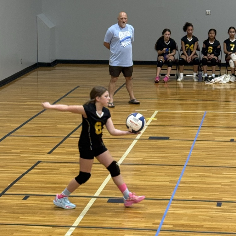 SPLSPanthers's tweet photo. The 5/6 volleyball team had some great games this morning at Calvary Lutheran!  They brought home a win in 2 sets!  Great job, Ladies!!!  We are proud of you!!  #volleyball #KCLAL https://t.co/KOzwx8jkg8