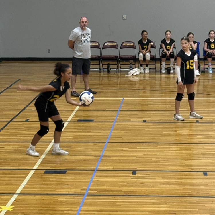 SPLSPanthers's tweet photo. The 5/6 volleyball team had some great games this morning at Calvary Lutheran!  They brought home a win in 2 sets!  Great job, Ladies!!!  We are proud of you!!  #volleyball #KCLAL https://t.co/KOzwx8jkg8