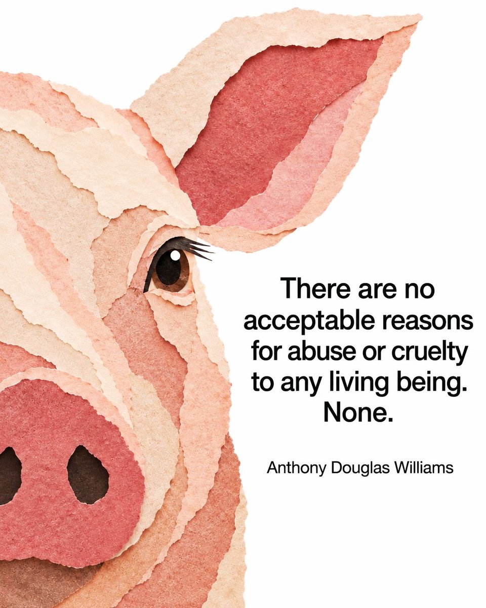 gianni_runco's tweet photo. Non ci sono ragioni accettabili per maltrattamenti o crudeltà verso qualsiasi essere vivente. Nessuna. #anthonydouglaswhilliams #govegan #AnimalRights #veganism #veganlife #crueltyfree #Vegan #nomeat #plantbased #animallovers #vegano #veganworld #empatia #compassion #nonviolence https://t.co/lr7pIXzZAs