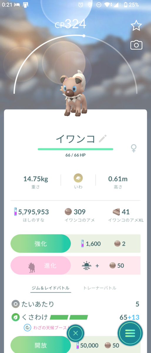 MWC_Games's tweet photo. クソッ！こんな時に黄昏イワンコかよ！
明日は何も予定が無いので、深酒しながらパソコンでSpotify聴きながらGOのデイリータスクをこなしてたら…黄昏イワンコが出現！
まだ起きてた兄を急遽徴集しました。
(兄のメイン･サブ共にゲット！よかった〜)
おやすみなさい😌

#ポケモンGO https://t.co/EuuWNF4QBK