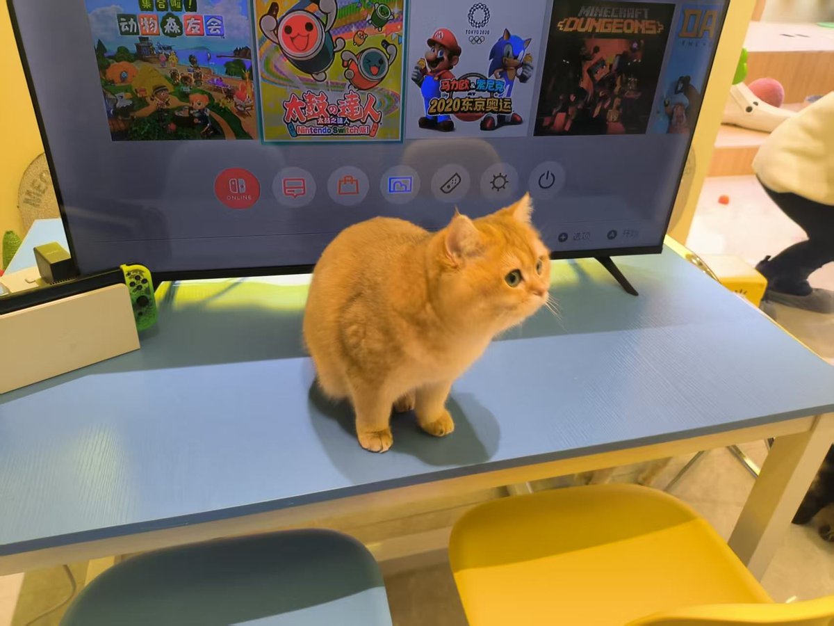 florj036228's tweet photo. Just finished reviewing my to-do list and realized all tasks can wait. Time for a 10-minute coffee break with that funny cat video in my saved folder. https://t.co/AwNfMBU4aW